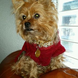 Meet your Posher, Tami